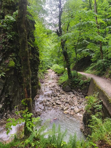 Zum Großen Rechenberg über die Rechenbergalm