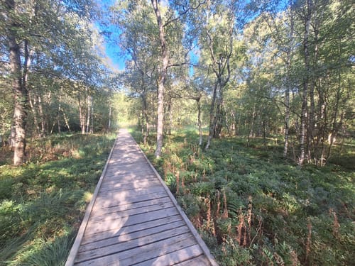 Kaskadenschlucht und Rotes Moor ab Sandberg