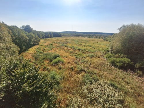 Kaskadenschlucht und Rotes Moor ab Sandberg