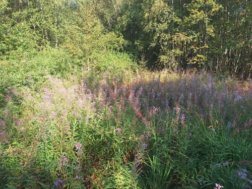 Kaskadenschlucht und Rotes Moor ab Sandberg