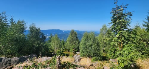Buhlbachsee und Lotharpfad Rundwanderung