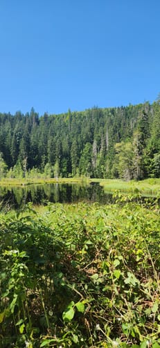Buhlbachsee und Lotharpfad Rundwanderung
