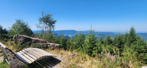 Buhlbachsee und Lotharpfad Rundwanderung