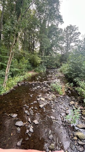 Eifelsteig Etappe 1: Kornelimünster - Roetgen
