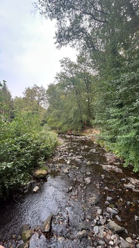 Eifelsteig Etappe 1: Kornelimünster - Roetgen