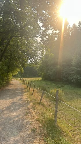 Eifelsteig Etappe 1: Kornelimünster - Roetgen