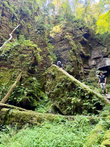 Rollstuhl-Tour "Zum Felsentor im Uttewalder Grund"