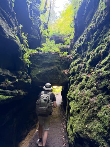 Rollstuhl-Tour "Zum Felsentor im Uttewalder Grund"