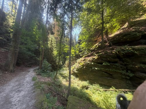 Rollstuhl-Tour "Zum Felsentor im Uttewalder Grund"