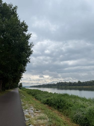 Rund um Waldschwimmbad Breisach