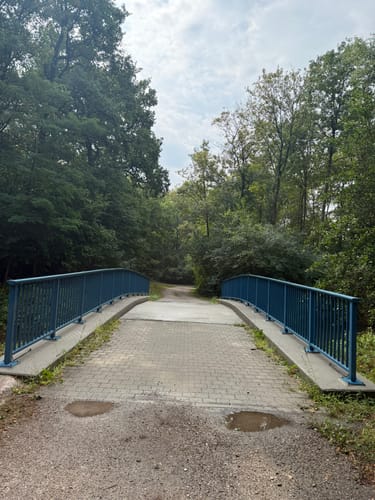 Rund um Waldschwimmbad Breisach