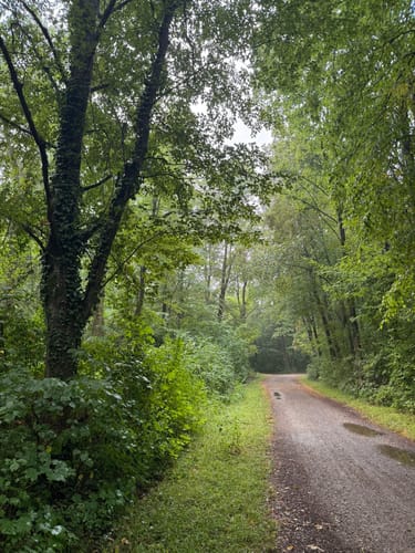 Rund um Waldschwimmbad Breisach