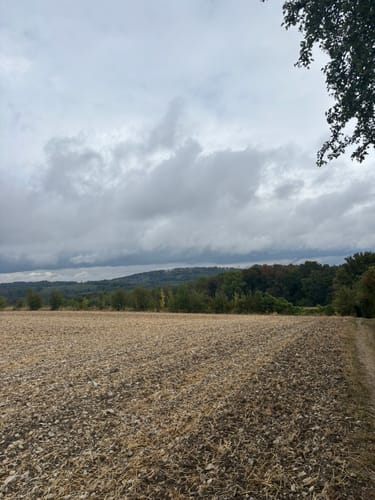 Canyon Blick (Teutoschleife)