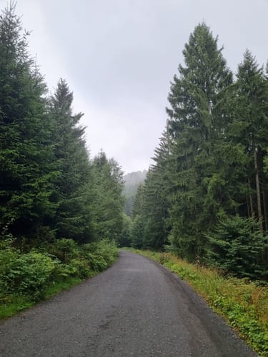 Auf dem Rothaarsteig und dem Uplandsteig rund um den Ettelsberg