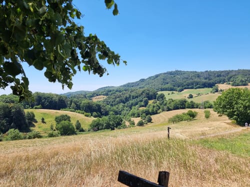 Lautertal-Reichenbach: L2 Odenwald-Bergsträßer-Runde