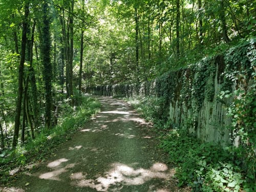 Lautertal-Reichenbach: L2 Odenwald-Bergsträßer-Runde
