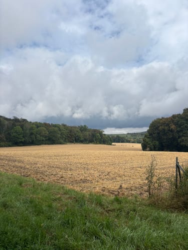 Canyon Blick (Teutoschleife)