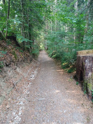Obere Hausbachklamm Oberreute