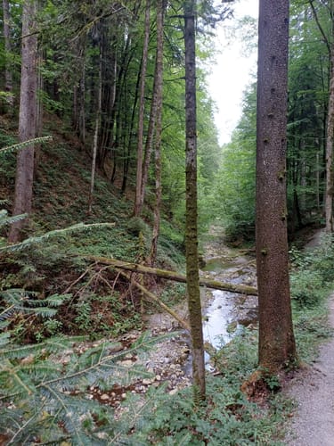 Obere Hausbachklamm Oberreute