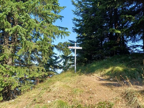 Hochgratbahn-Bergstation - Falkenhütte - Talstation