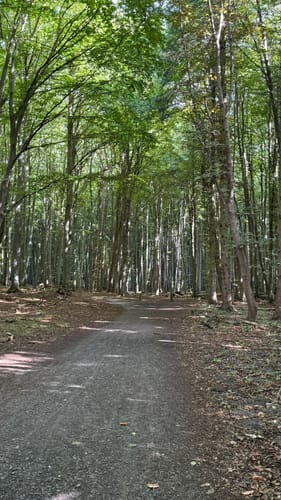 Sassnitz - Königsstuhl - Jasmund Nationalpark Runde