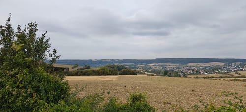 Spazierweg Gräfinthal