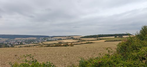 Spazierweg Gräfinthal