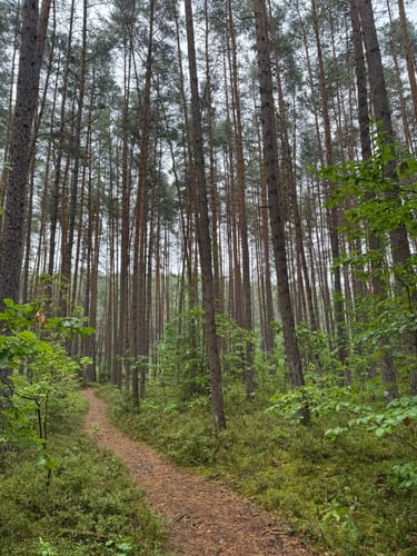 Oberhaid Vogelherdrunde