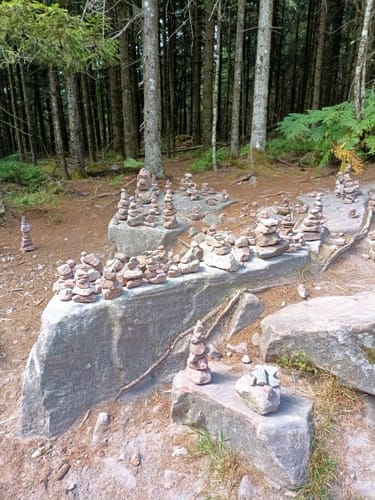 Rund um die Hornisgrinde