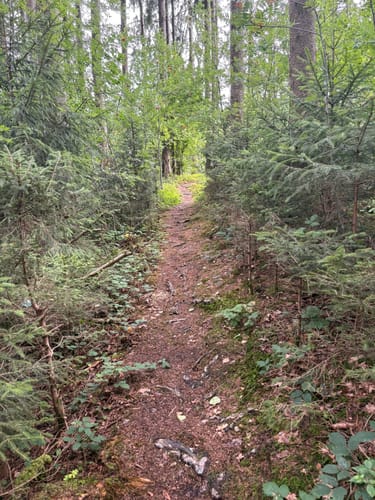 Wasserläufer-Route Etappe 20: Eglofs - Isny