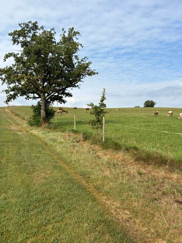 Wasserläufer-Route Etappe 20: Eglofs - Isny