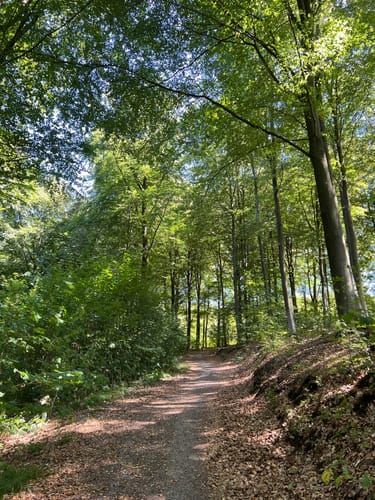 Entlang der Wupper zum Schloss Burg ab Müngstener Brückenpark