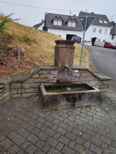 Von Neunkirchen zum Nerother Kopf