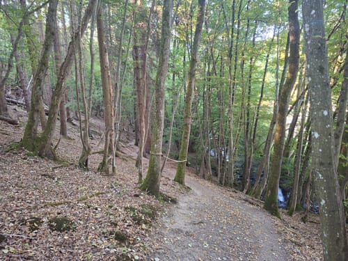 Hunolsteiner Klammtour (Traumschleife)