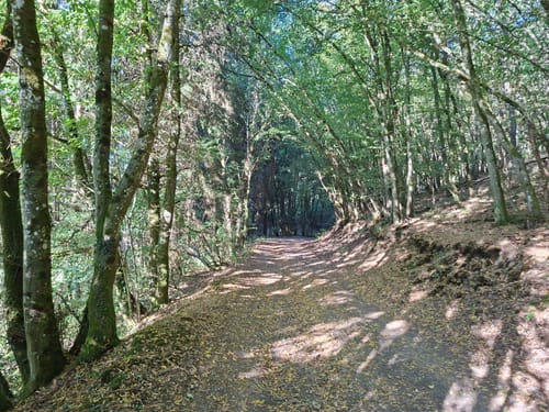 Hunolsteiner Klammtour (Traumschleife)
