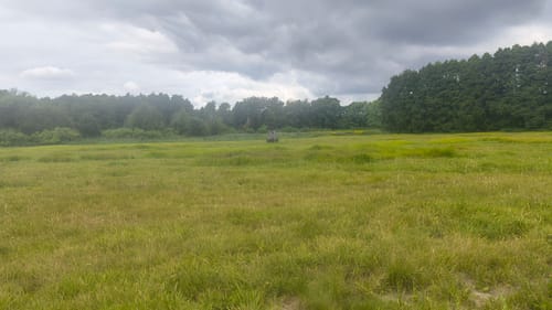 Erlebnisweg Totes Moor