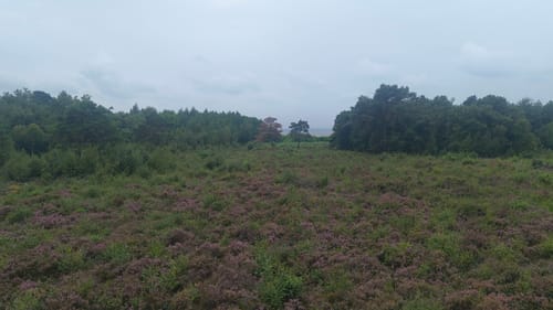 Erlebnisweg Totes Moor