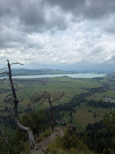 Schloss Neuschwanstein