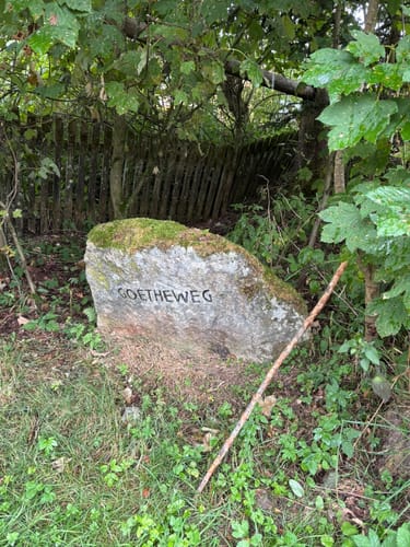 Auf dem Goetheweg zum Brocken