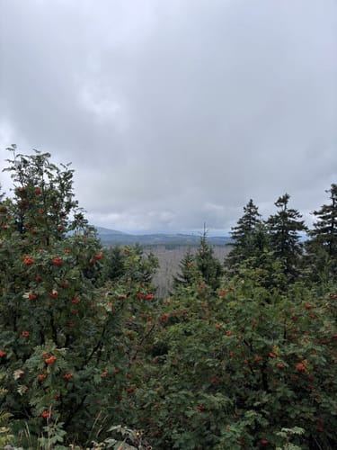 Auf dem Goetheweg zum Brocken
