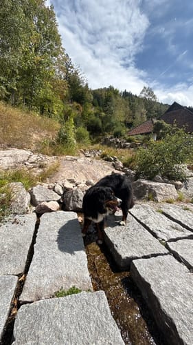 Menzenschwander Wasserfälle