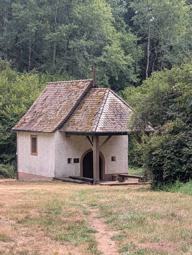 Berwartstein und Drachenfels ab Erlenbach bei Dahn