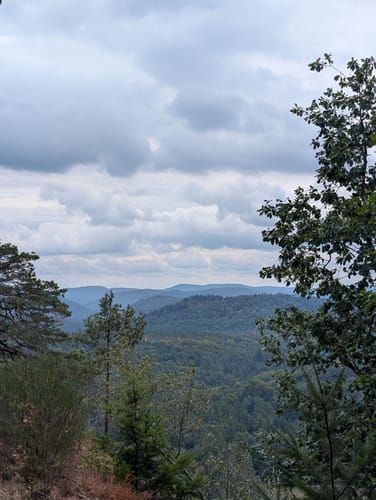 Berwartstein und Drachenfels ab Erlenbach bei Dahn