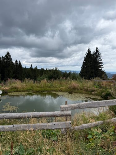 Feldbergsteig (Genießerpfad)