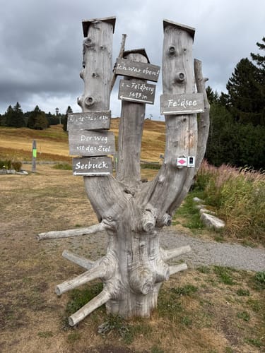 Feldbergsteig (Genießerpfad)