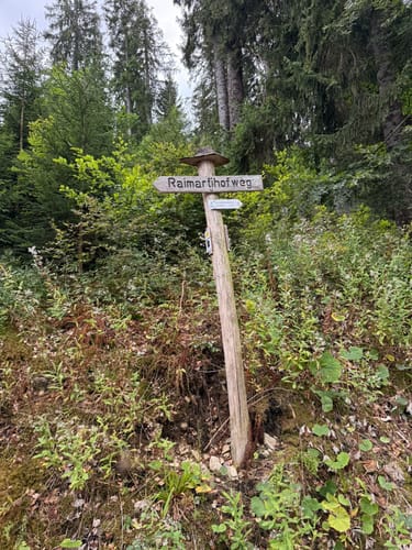 Feldbergsteig (Genießerpfad)