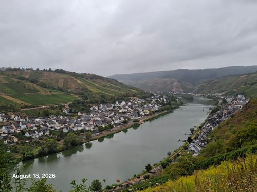 Über die Zeller Weinberge