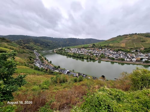 Über die Zeller Weinberge