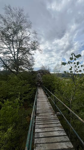 Witbergrunde (Premiumwanderweg)