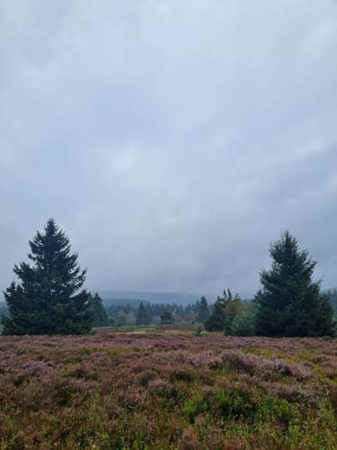 Auf dem Rothaarsteig und dem Uplandsteig rund um den Ettelsberg